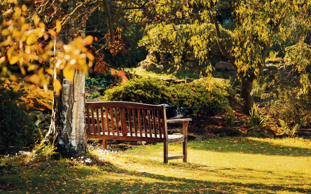 jardin