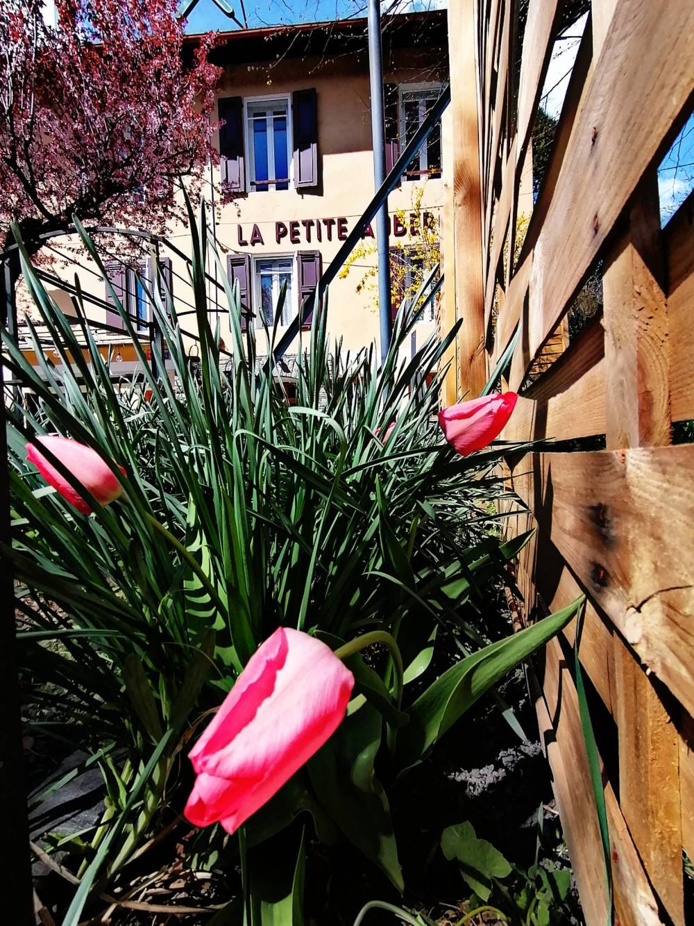 Fleurs