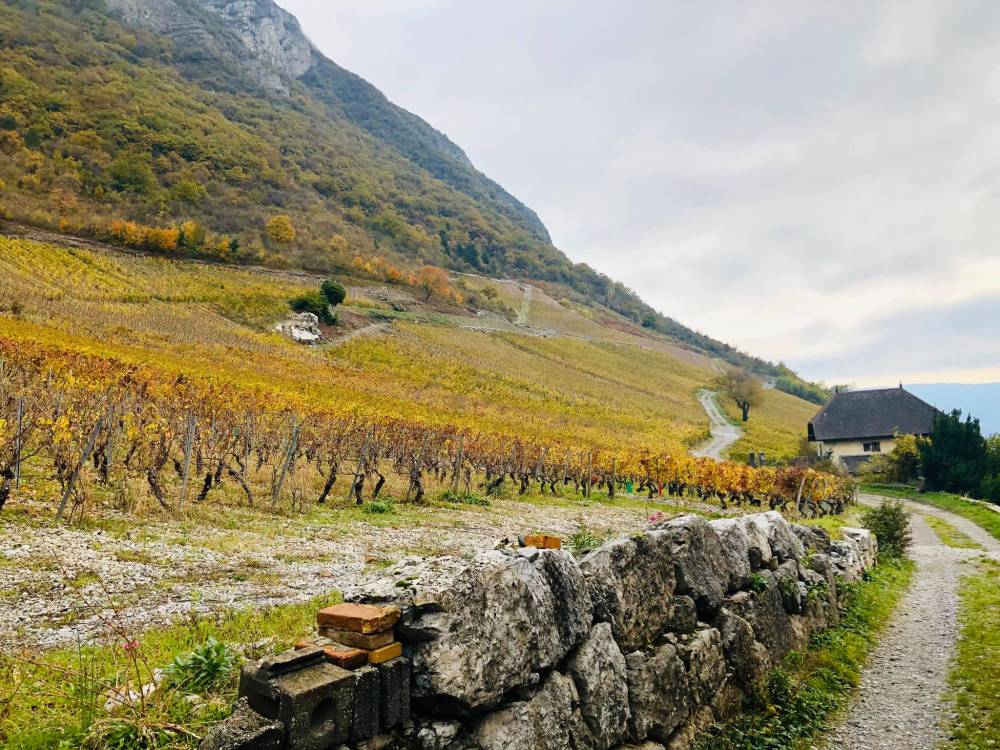 savoie