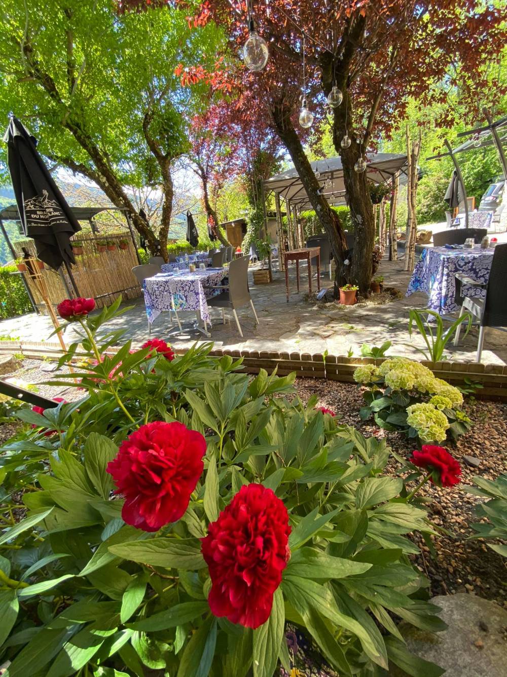 terrasse fleur