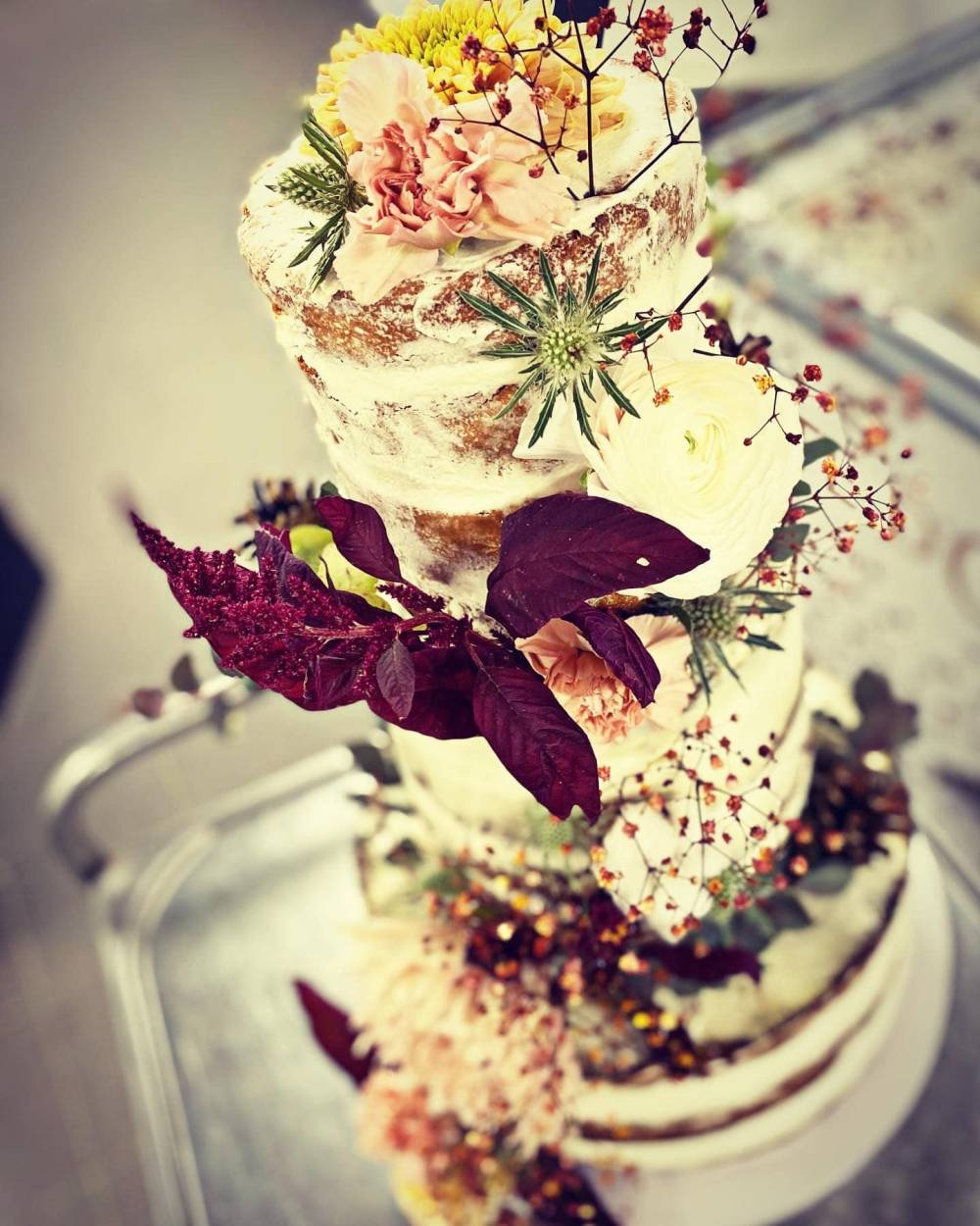 486311404_10237760290770184_7707428159316292857_n