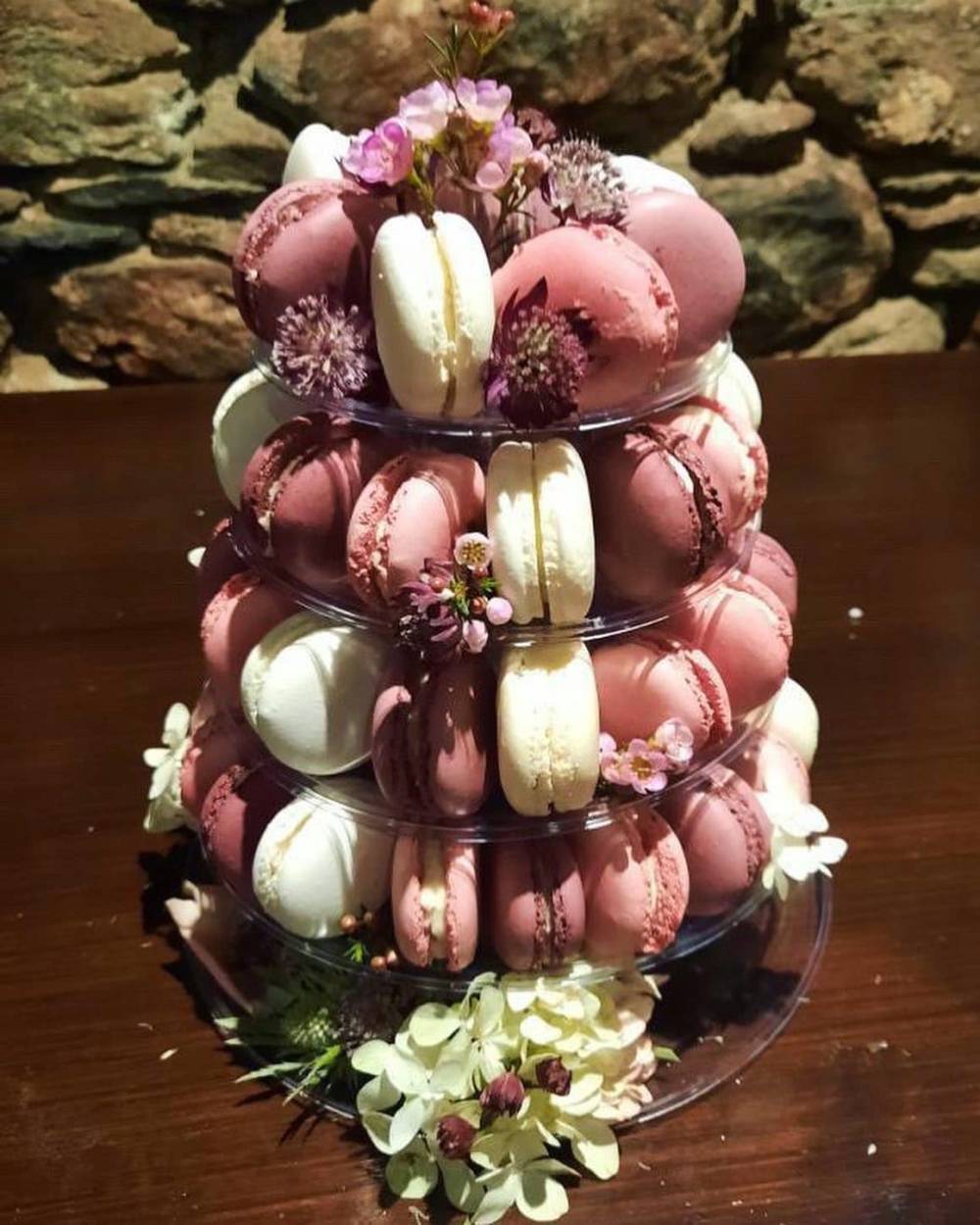 481505276_10237469930871368_1617046040797659783_n