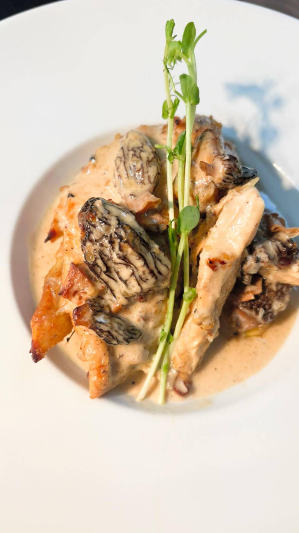 563441719_1106471368141398_927266444954885269_n